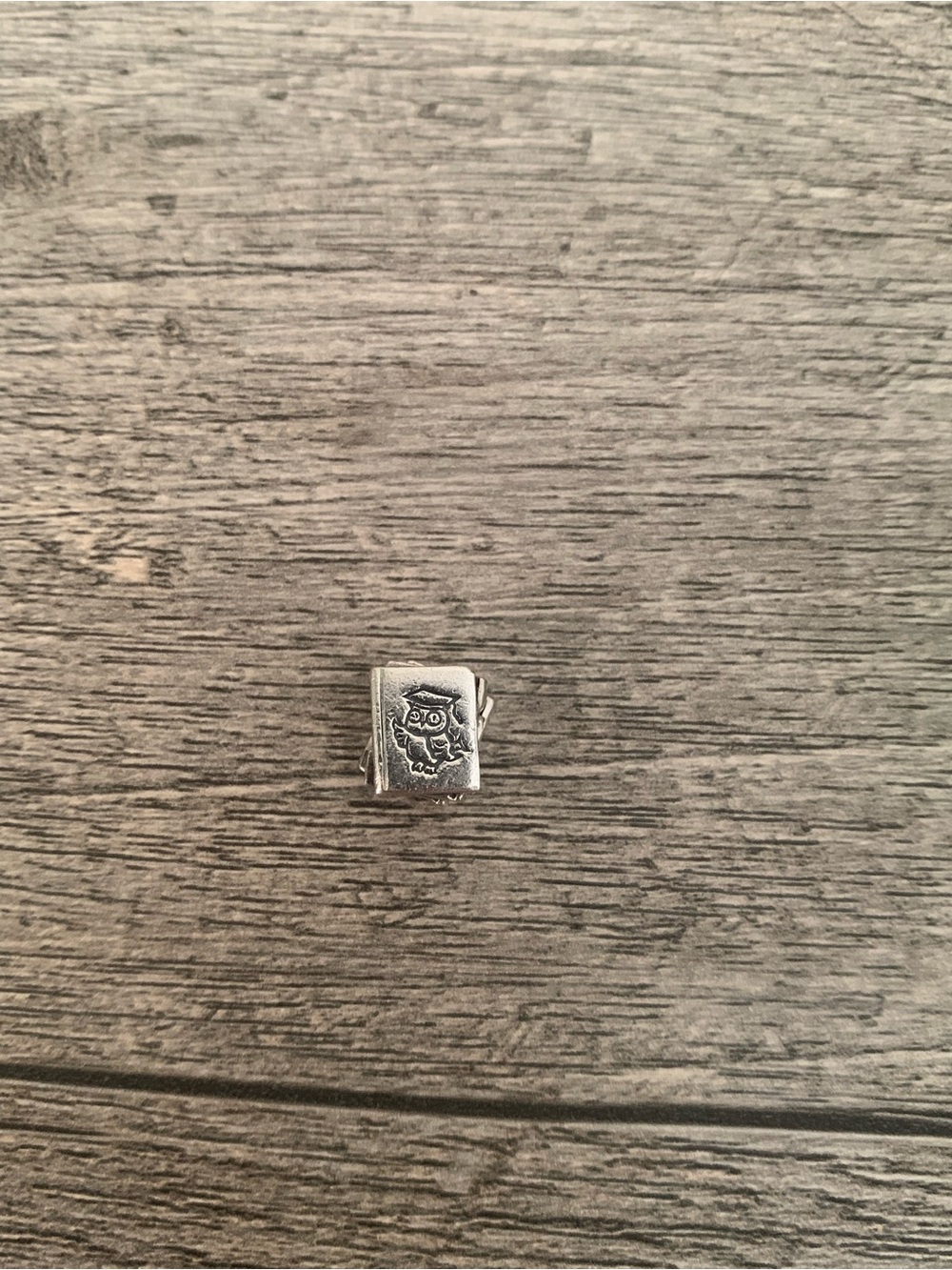 Silver Owl Book Charm for pandora bracelet